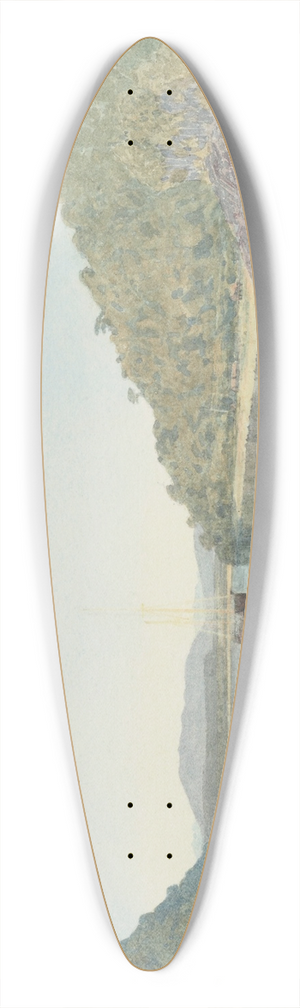 James Crowe Richmond - Site of Greymouth 39.3 inch art pintail longboard deck