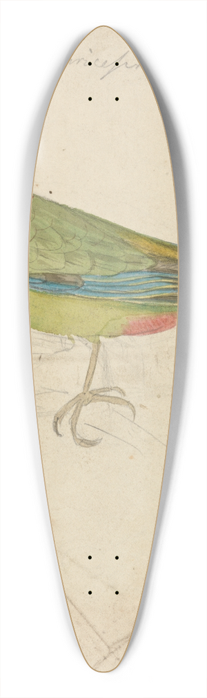 James de Carle Sowerby - A Parrot 39.3 inch art pintail longboard deck James de Carle Sowerby - A Parrot 39.3 inch art pintail longboard deck