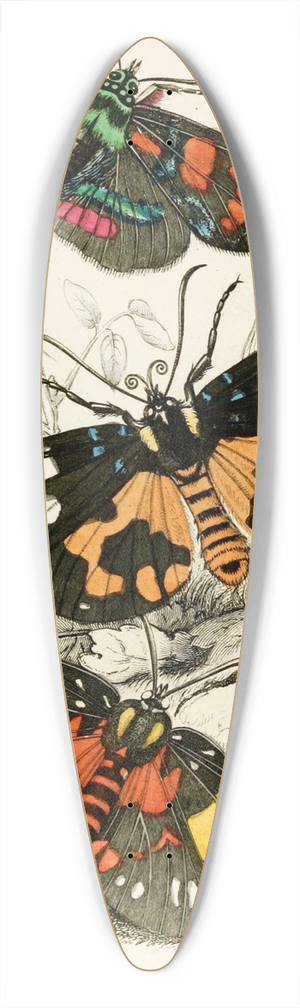 James Duncan - Agarista picta, Eusemia lectrix, Eusemia maculatrix 39.3 inch art pintail longboard deck