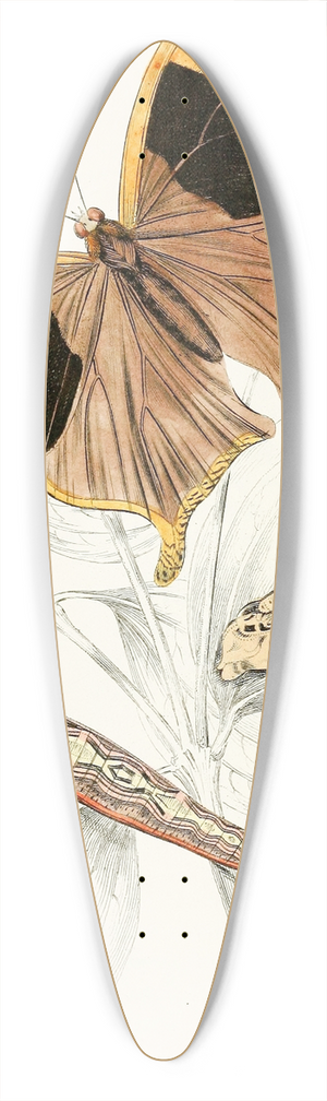 James Duncan - Arpidea Chorinaea 39.3 inch art pintail longboard deck