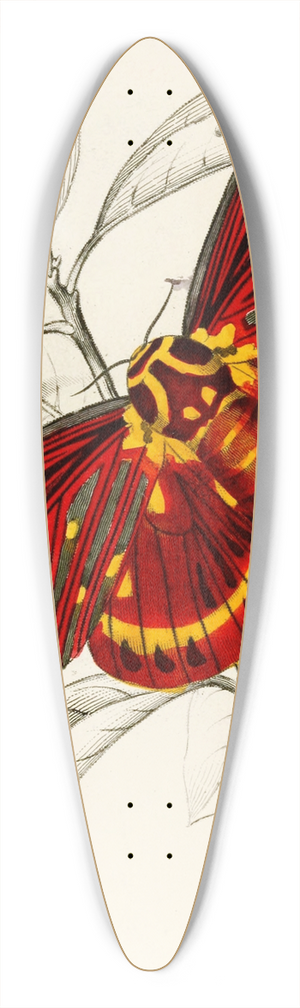 James Duncan - Dorycampa regalis 39.3 inch art pintail longboard deck