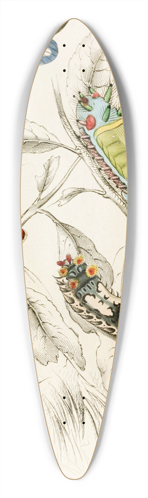 James Duncan - Limacodes Micilia, Doratifera vulnerans 39.3 inch art pintail longboard deck