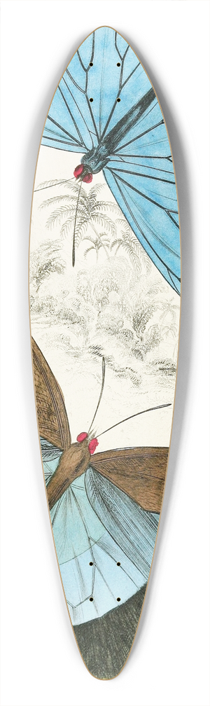 James Duncan - Morpho Adonis,Pavonia Teucer 39.3 inch art pintail longboard deck