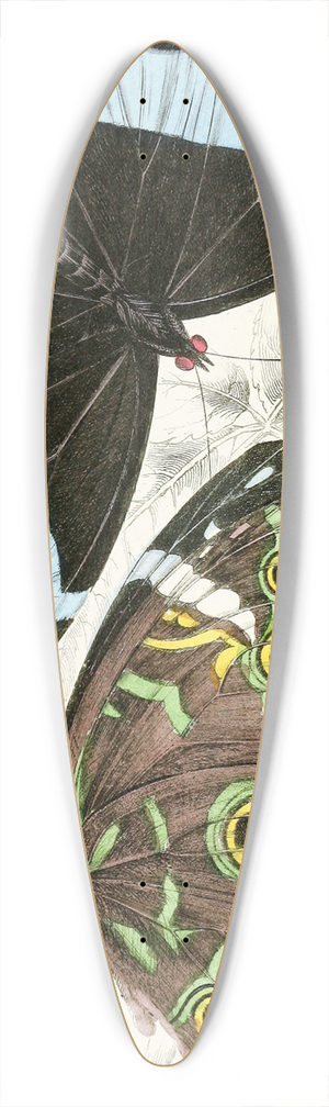James Duncan - Morpho Helenor 39.3 inch art pintail longboard deck