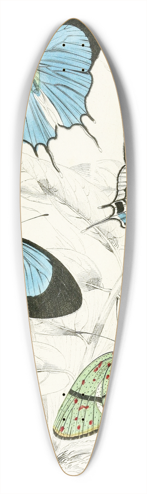 James Duncan - Polyommatus Marsyas,Polyommatus Endymion 39.3 inch art pintail longboard deck