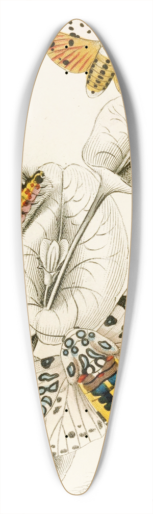James Duncan - Spilosoma aerea, Arctia oculatissima 39.3 inch art pintail longboard deck
