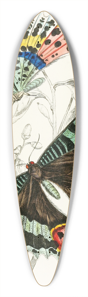 James Duncan - Thaliura Rhipheus 39.3 inch art pintail longboard deck