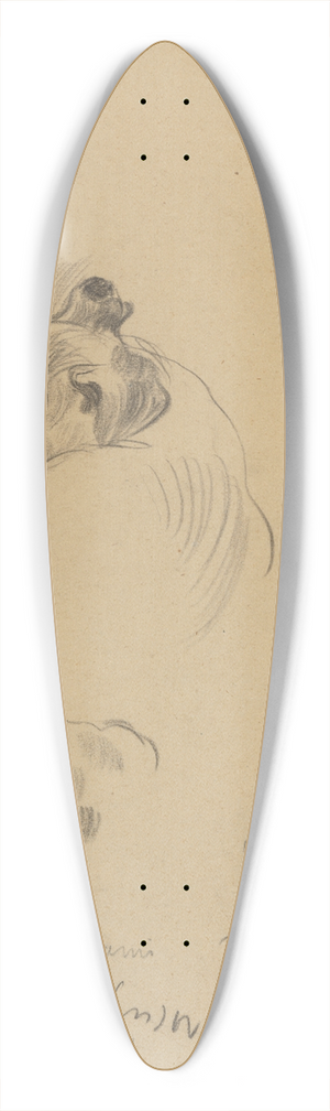 James Ensor - De honden 39.3 inch art pintail longboard deck