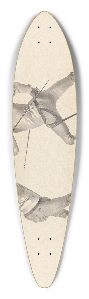 James Gwin - Position Aprs Avoir Desarme sur le Coup de Quarte ou de Seconde Par de Prime 39.3 inch art pintail longboard deck
