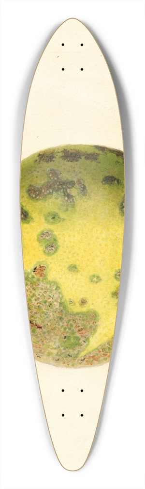 James Marion Shull - Citrus paradisi: Pomelo 39.3 inch art pintail longboard deck