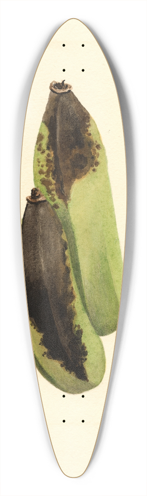 James Marion Shull - Musa 39.3 inch art pintail longboard deck