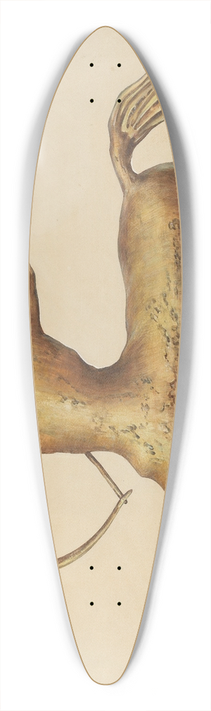 James McLellan - Centaur Weather Vane 39.3 inch art pintail longboard deck