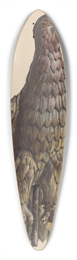 James McLellan - Finial Eagle 39.3 inch art pintail longboard deck