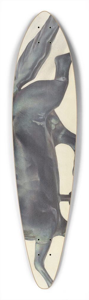 James McLellan - Weather Vane 39.3 inch art pintail longboard deck