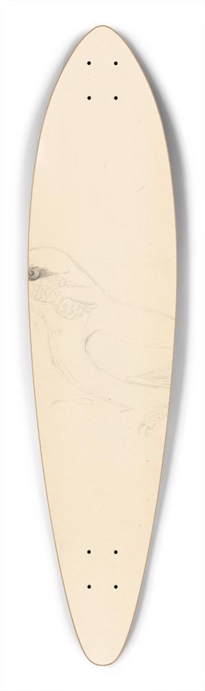 James Sowerby - A Kingfisher 39.3 inch art pintail longboard deck