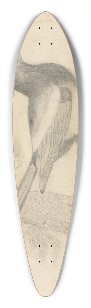 James Sowerby - A Magpie in a Tree 39.3 inch art pintail longboard deck