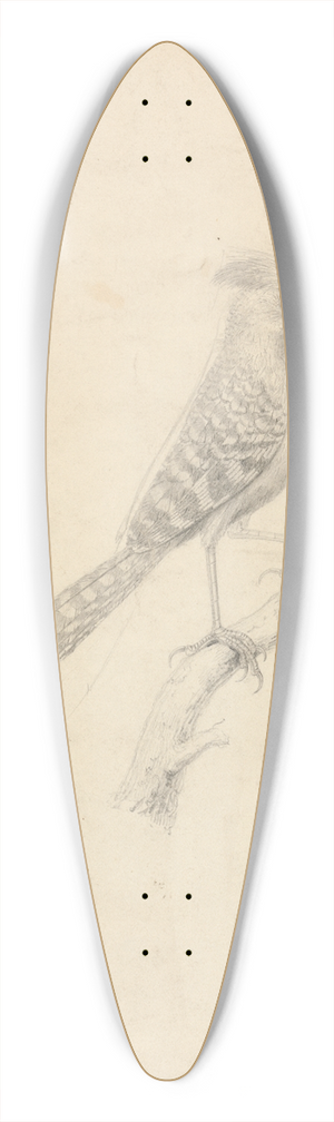 James Sowerby - Antshrike 39.3 inch art pintail longboard deck
