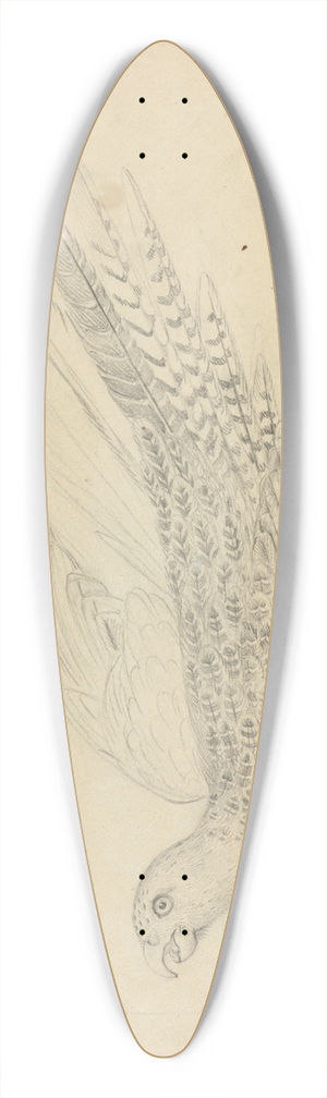 James Sowerby - A Parrot 2 39.3 inch art pintail longboard deck