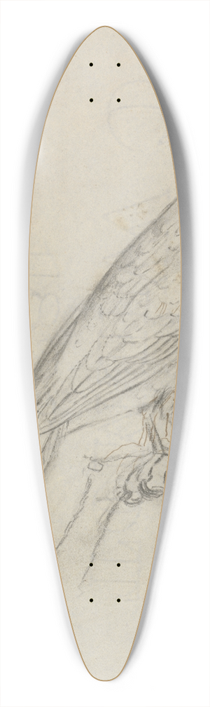 James Sowerby - A Parrot 39.3 inch art pintail longboard deck