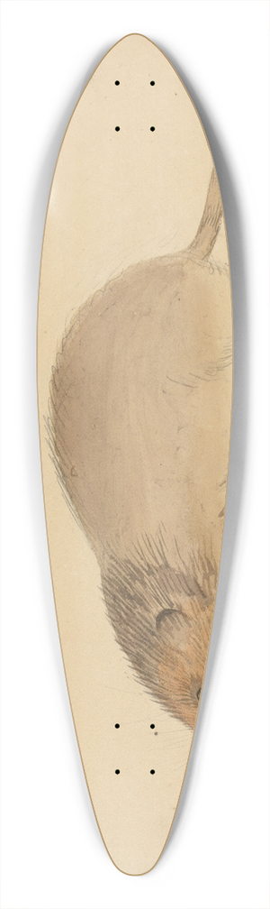 James Sowerby - A Vole 39.3 inch art pintail longboard deck