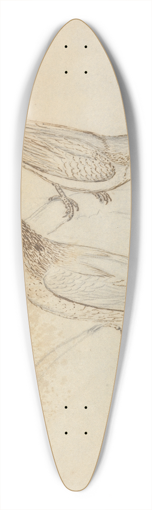 James Sowerby - Two Tree Creepers 39.3 inch art pintail longboard deck
