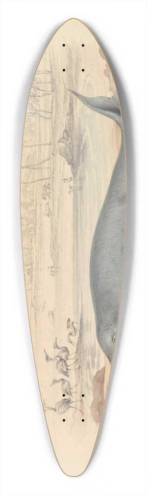 James Stewart - The Dugong 39.3 inch art pintail longboard deck