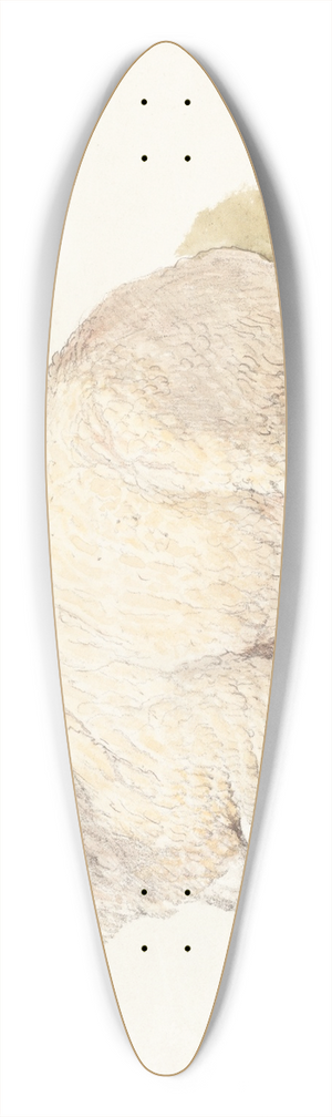 James Ward - A Sheep Resting 39.3 inch art pintail longboard deck