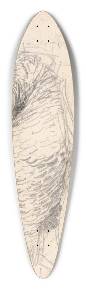 James Ward - A Turkey Sitting on Eggs 39.3 inch art pintail longboard deck James Ward - A Turkey Sitting on Eggs 39.3 inch art pintail longboard deck