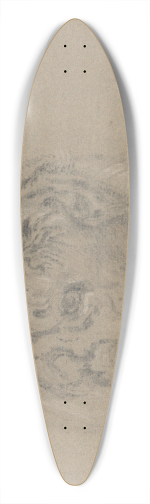 James Ward - Head of a Tiger 39.3 inch art pintail longboard deck James Ward - Head of a Tiger 39.3 inch art pintail longboard deck