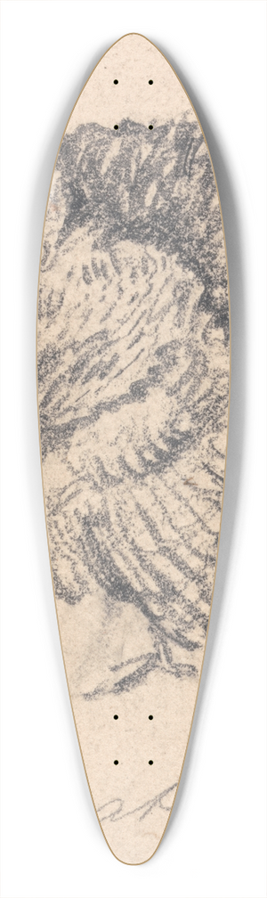 James Ward - Study of a Turkey 39.3 inch art pintail longboard deck
