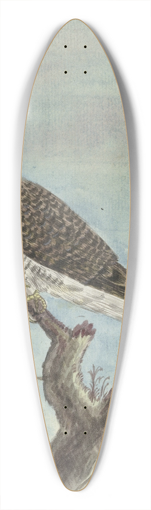 Jan Brandes - Hollandse koekoek 39.3 inch art pintail longboard deck