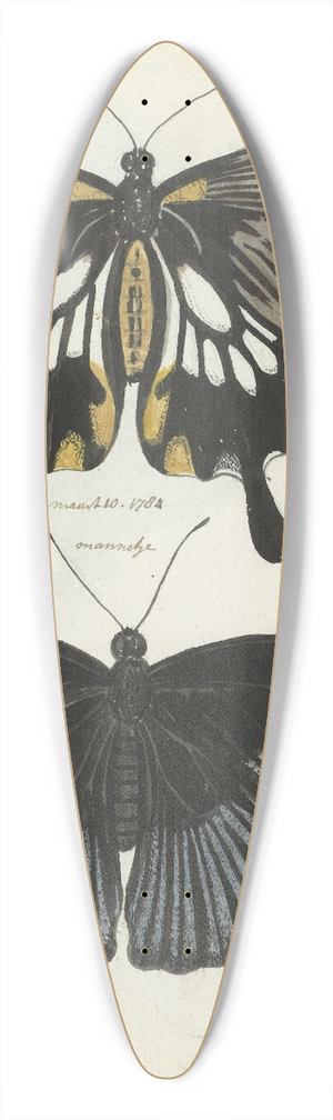 Jan Brandes - Indische vlinders 39.3 inch art pintail longboard deck