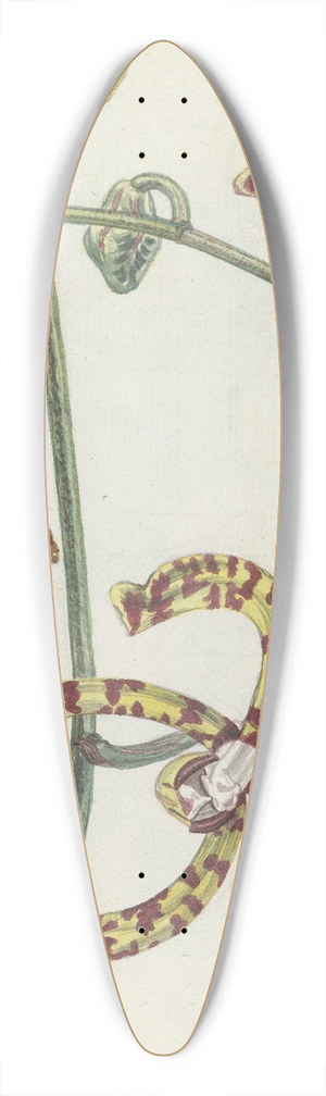 Jan Brandes - Oostindische bloem cambang matjang 39.3 inch art pintail longboard deck