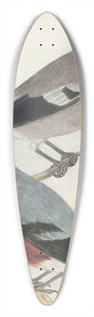 Jan Brandes - Vinken 39.3 inch art pintail longboard deck