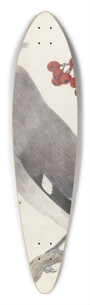 Jan Brandes - Zweedse vogel 39.3 inch art pintail longboard deck