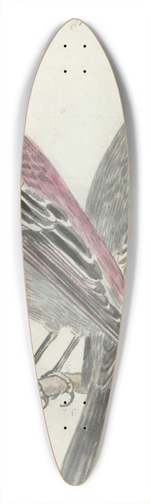 Jan Brandes - Zweedse vogels 39.3 inch art pintail longboard deck