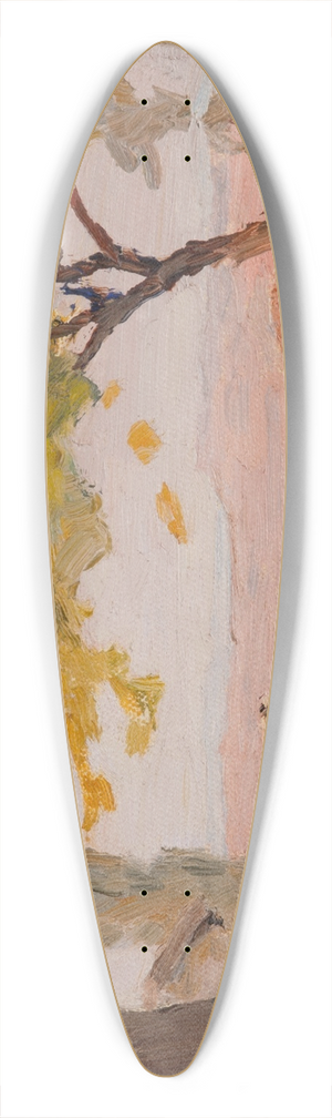 Jan Cigliski - Bursa (A View) 39.3 inch art pintail longboard deck