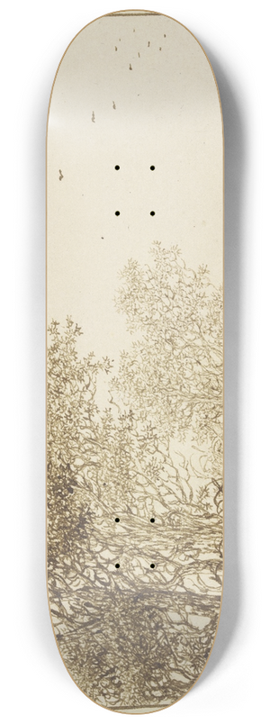 Adriaen Hendriksz. Verboom - Landschaft mit Bumen und Weidegatter 8.25 inch art skate deck