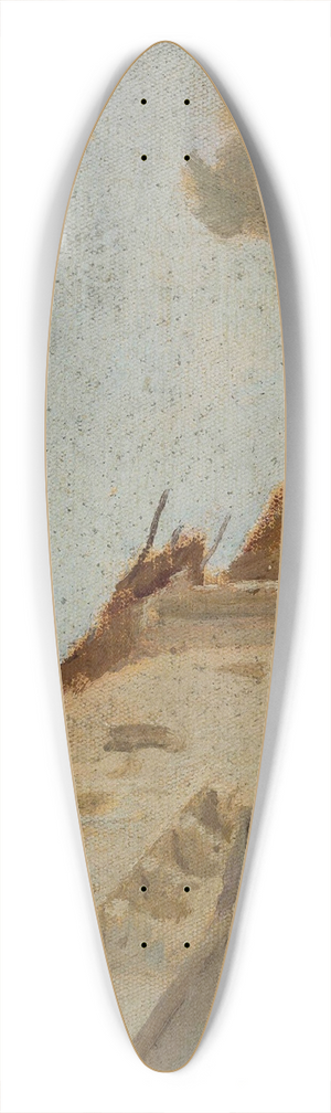 Jan Cigliski - Udaipur  houses. From the journey to India 39.3 inch art pintail longboard deck