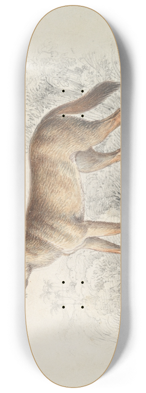 Charles Hamilton Smith - Aguara Dog of the Woods 8.25 inch art skate deck
