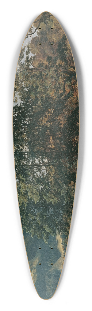 Jan Novopacky - Berchtesgaden 39.3 inch art pintail longboard deck