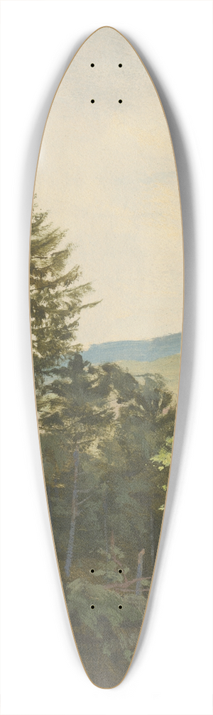 Jan Nowopack - Scrub Hill 39.3 inch art pintail longboard deck