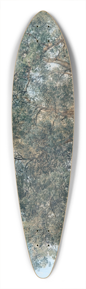 Janus la Cour - Olive Grove at Tivoly, Italy 39.3 inch art pintail longboard deck