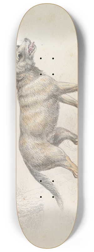 Charles Hamilton Smith - Hoary Aguara Dog 8.25 inch art skate deck