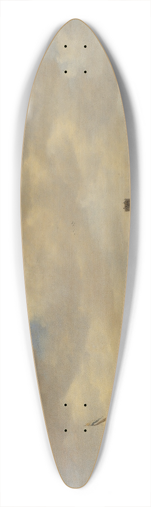 Jan van Goyen - View from Dordrecht 39.3 inch art pintail longboard deck