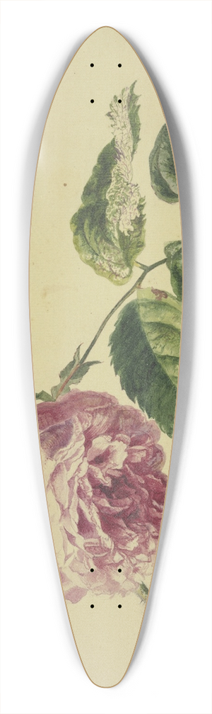 Jan van Huysum - A rose 39.3 inch art pintail longboard deck
