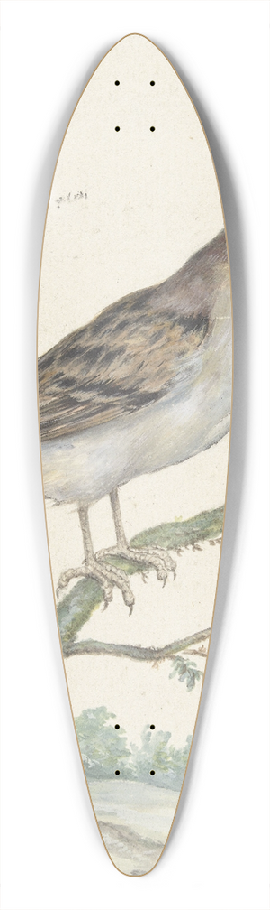Jan Weenix - Huismus 39.3 inch art pintail longboard deck