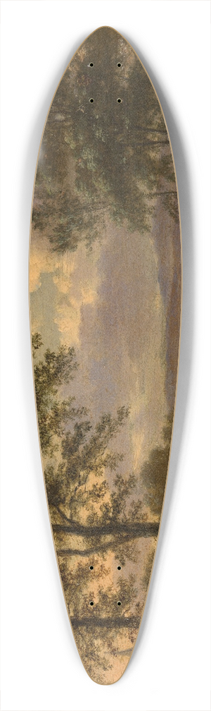 Jan Wijnants - Landscape 39.3 inch art pintail longboard deck