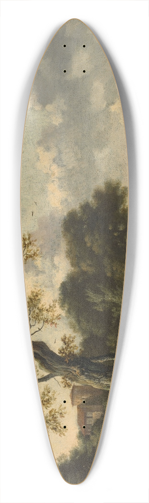 Jan Wijnants - Landscape 39.3 inch art pintail longboard deck