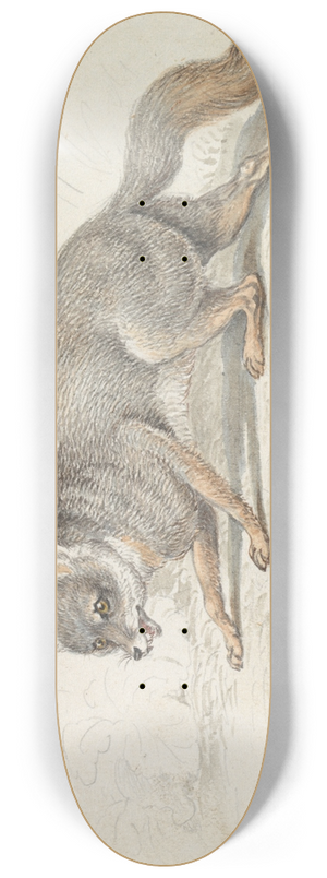 Charles Hamilton Smith - The Gray Fox 8.25 inch art skate deck